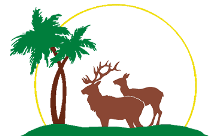 raptivillage_logo